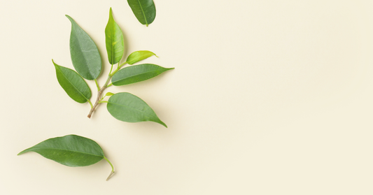 Besides great skincare, what else can I do to boost my skin’s health?